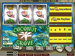 Coconut Grove slots